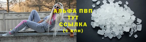 прущие грибы Инта