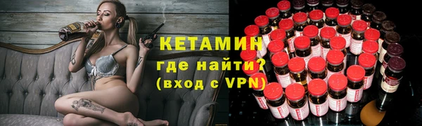 прущие грибы Инта