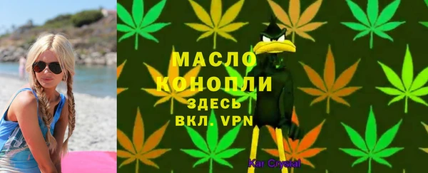 прущие грибы Инта
