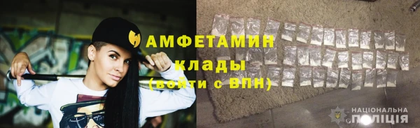прущие грибы Иннополис