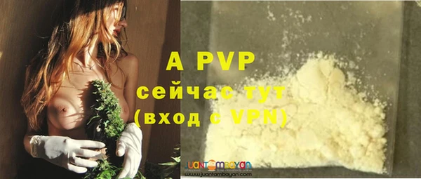 прущие грибы Иннополис