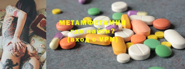 прущие грибы Инта