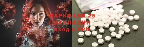 прущие грибы Иннополис