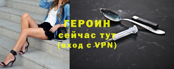 прущие грибы Инта