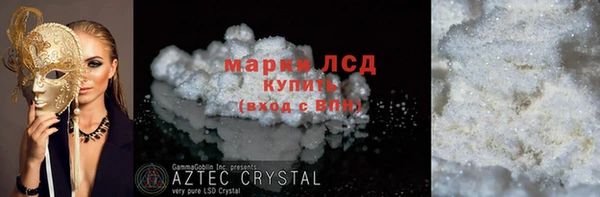 прущие грибы Инта