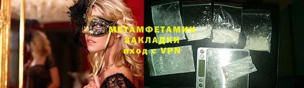 прущие грибы Инта
