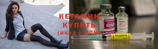 прущие грибы Инта