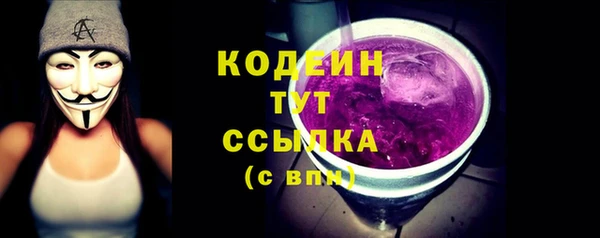 прущие грибы Иннополис