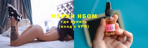 прущие грибы Иннополис