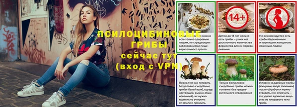 прущие грибы Инта