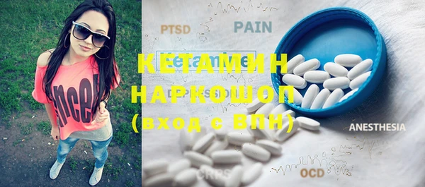 прущие грибы Иннополис
