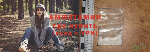 прущие грибы Инта