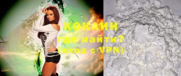 прущие грибы Иннополис