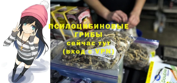 прущие грибы Иннополис