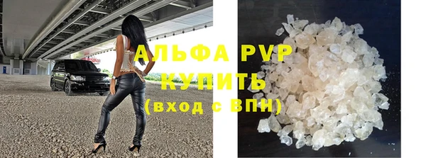 прущие грибы Иннополис