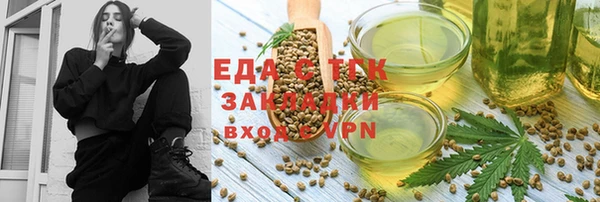 прущие грибы Инта