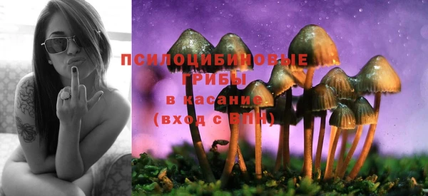 метадон Инсар
