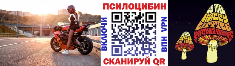 Псилоцибиновые грибы MAGIC MUSHROOMS  Купить закладки  Барнаул 